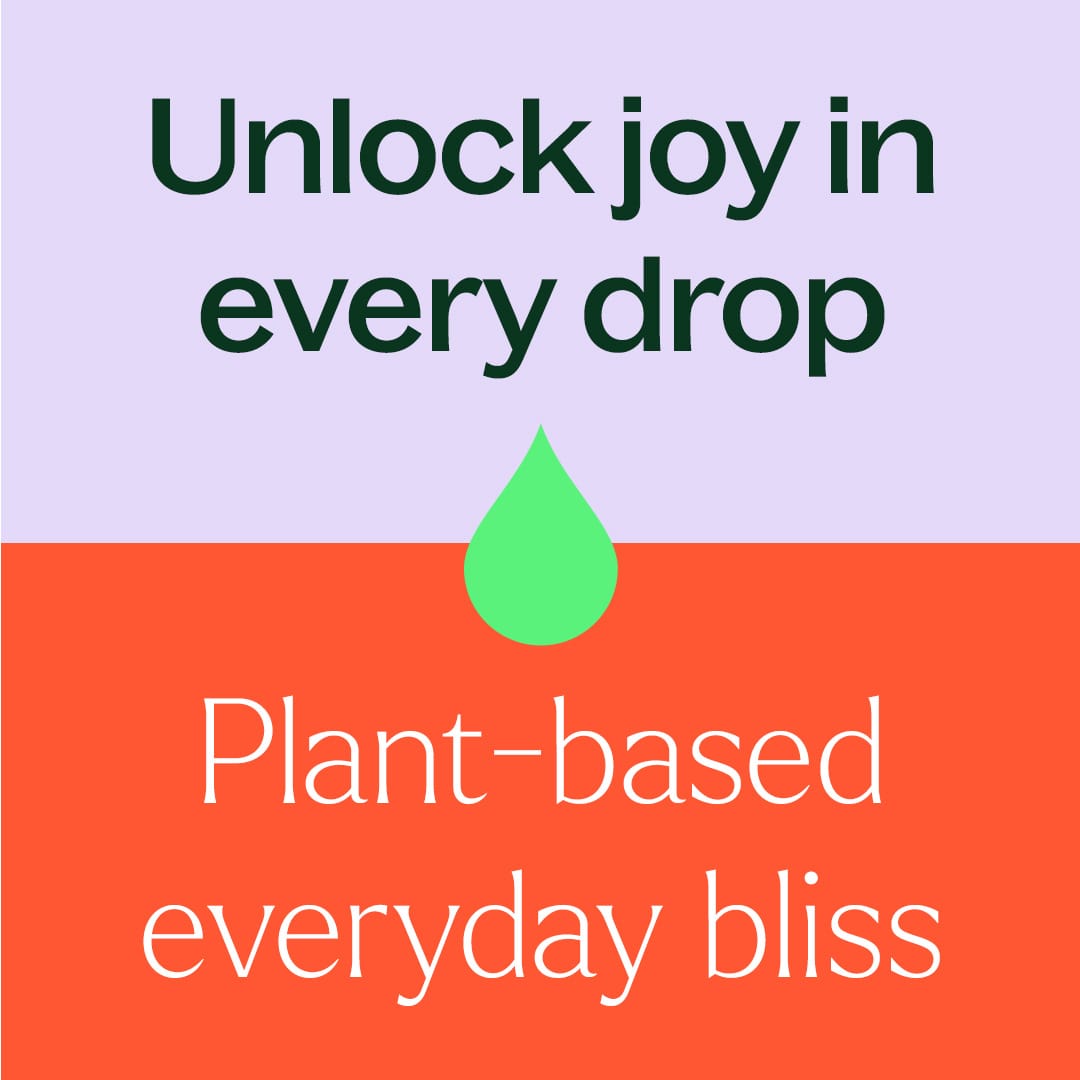 Ginger Root CO2 Extract Plant Therapy