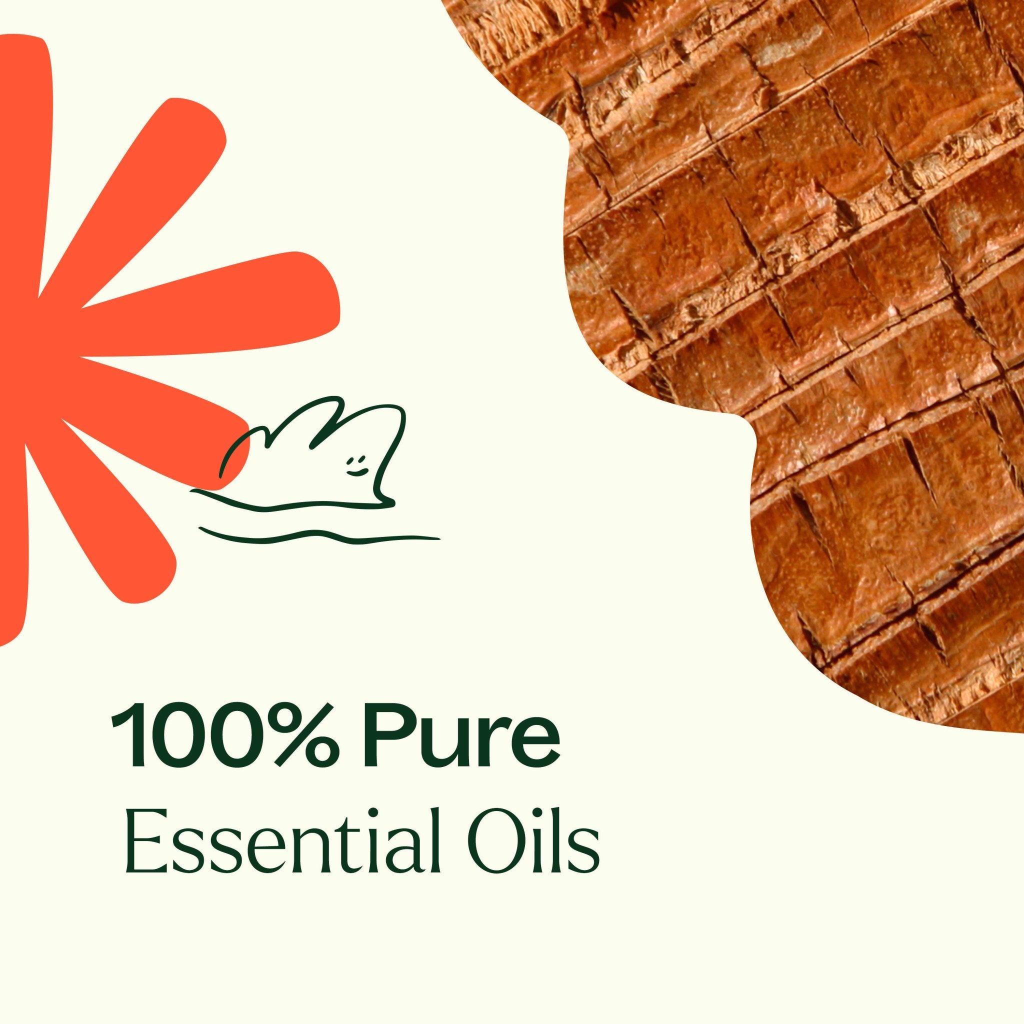 Grounded Foundation (Root Chakra) Essential Oil Plant Therapy