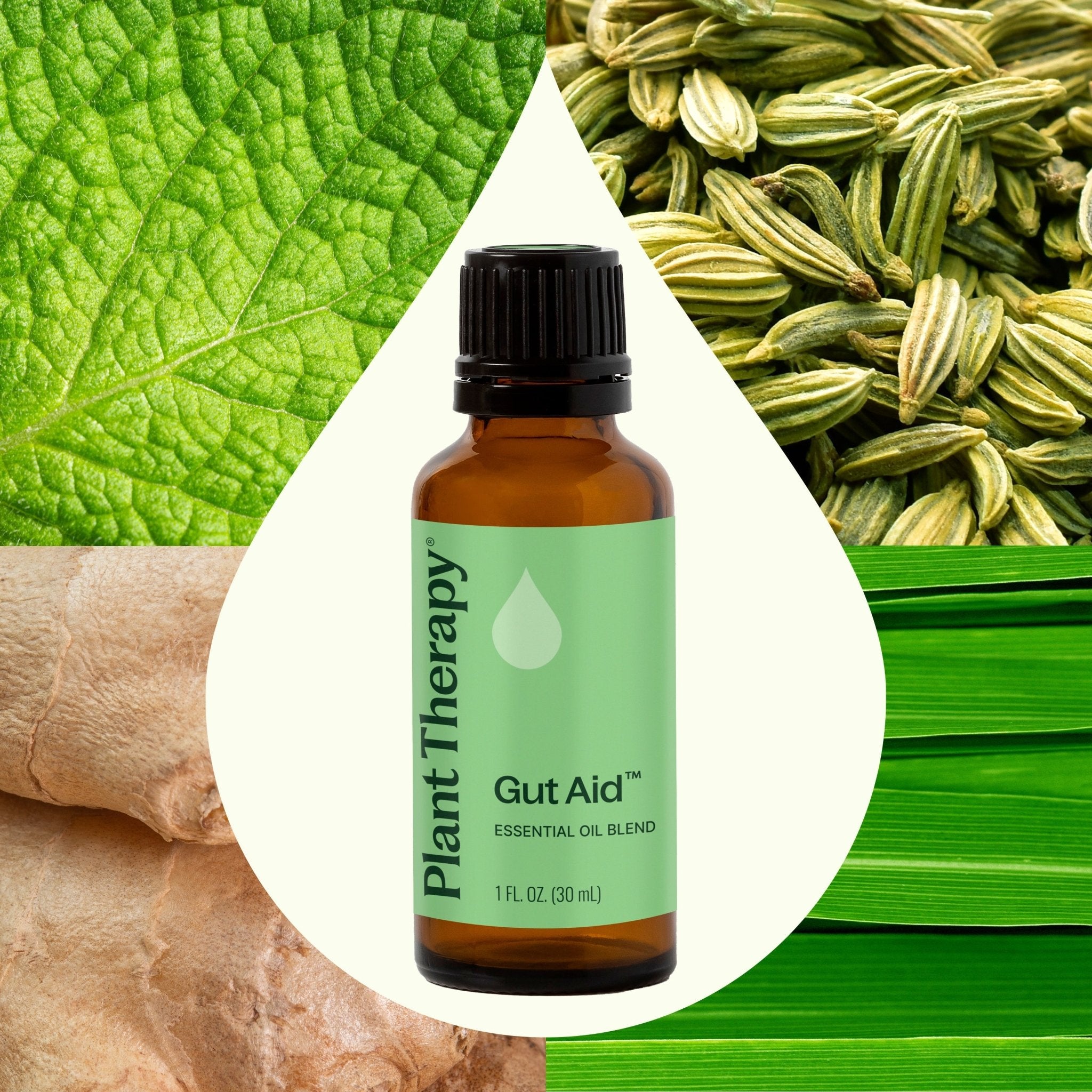 Gut Aid™ Essential Oil Blend Plant Therapy