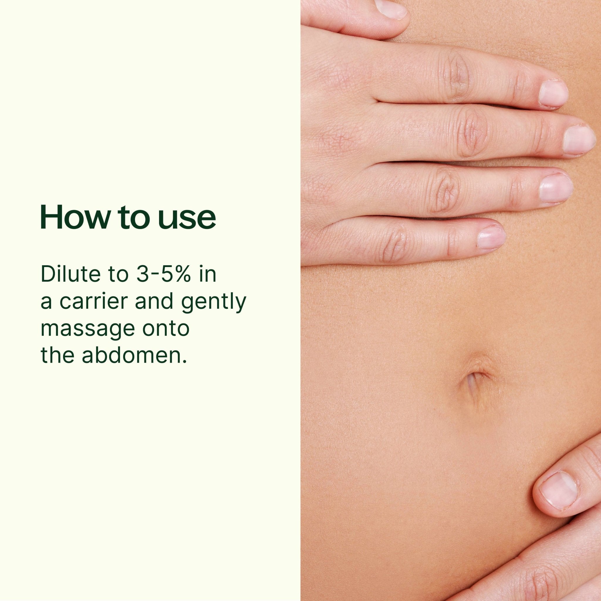 Gut Aid™ Essential Oil Blend Plant Therapy