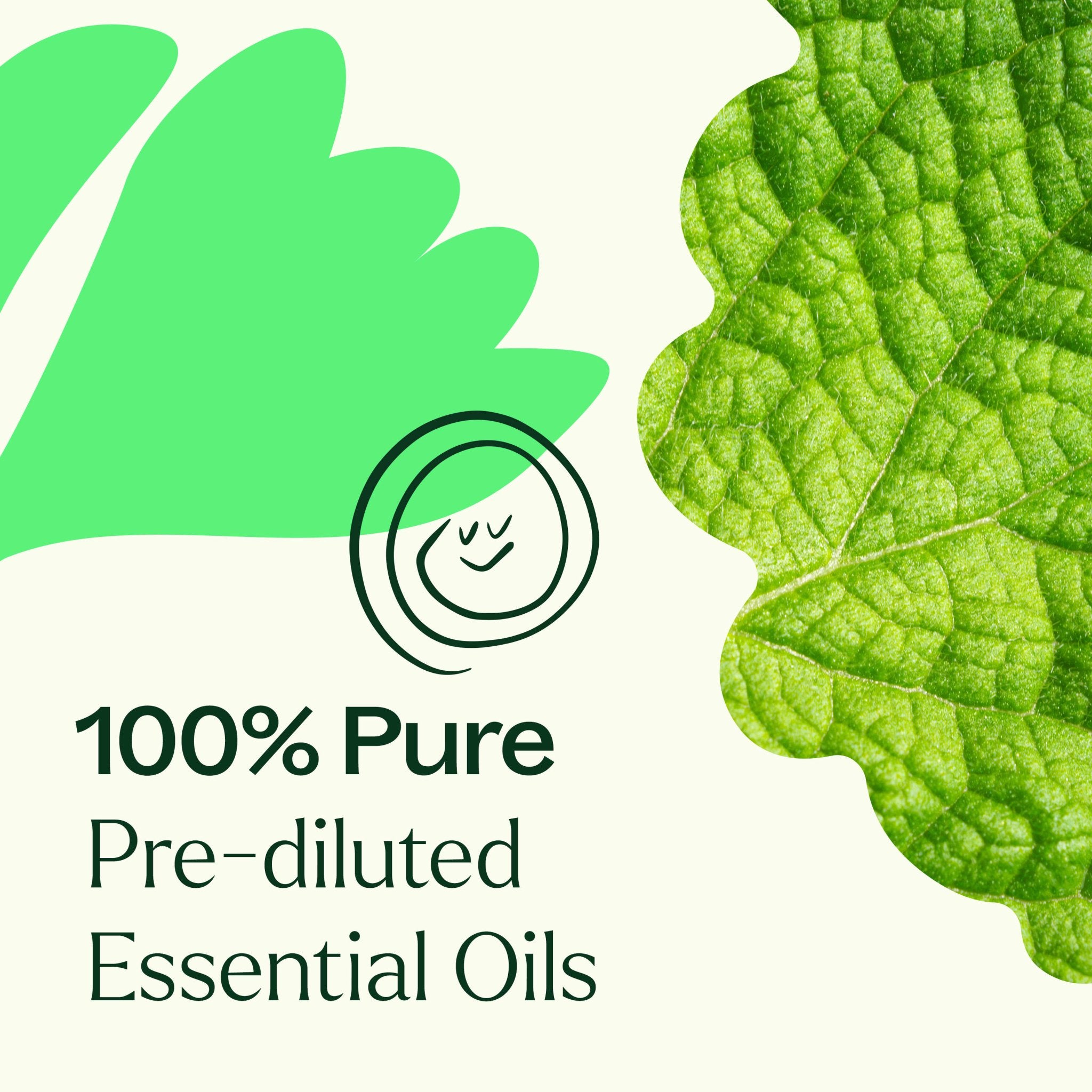 Gut Aid™ Essential Oil Blend Pre - Diluted Roll - On Plant Therapy