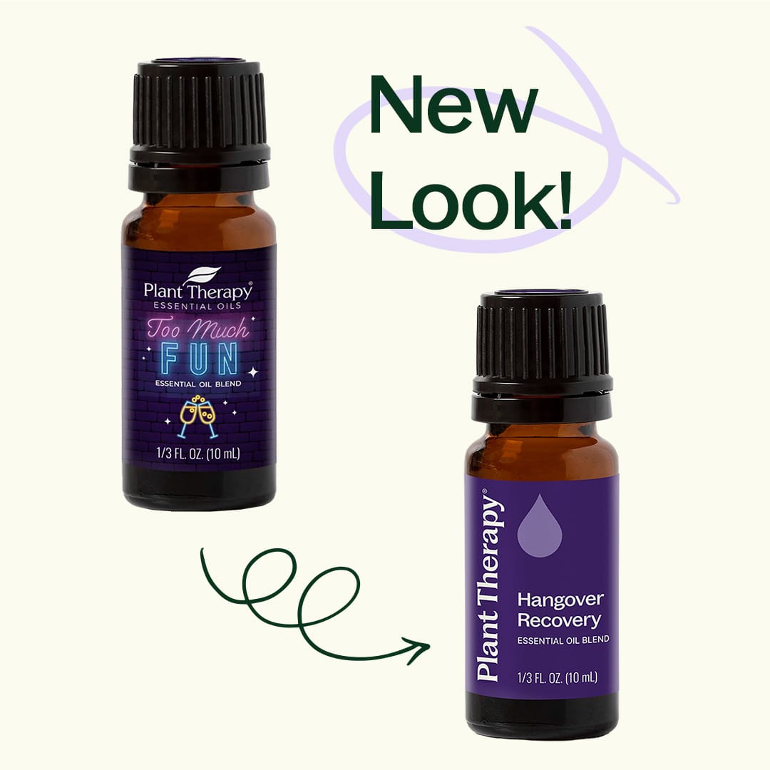 Hangover Recovery Essential Oil Blend 10mL Plant Therapy