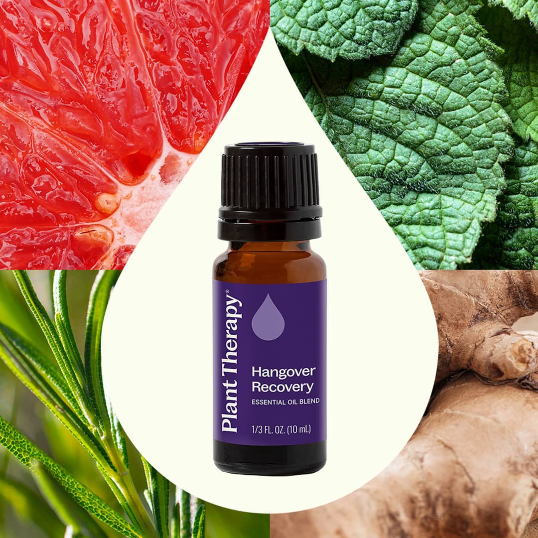 Hangover Recovery Essential Oil Blend 10mL Plant Therapy