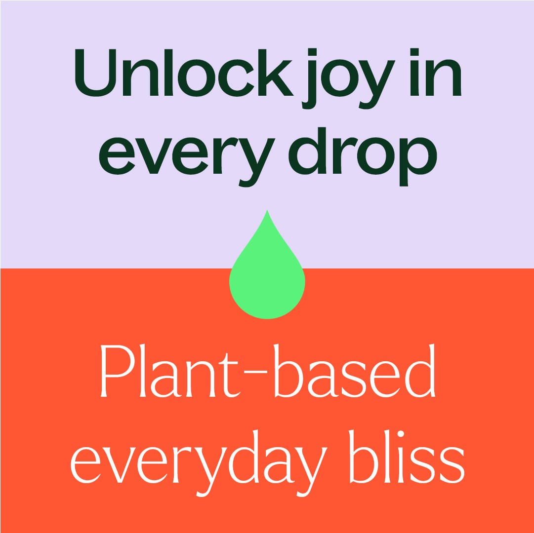 Hangover Recovery Essential Oil Blend 10mL Plant Therapy