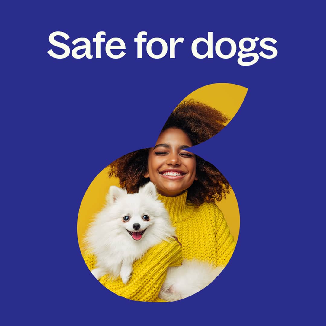 Hangover Recovery Essential Oil Blend 10mL Plant Therapy