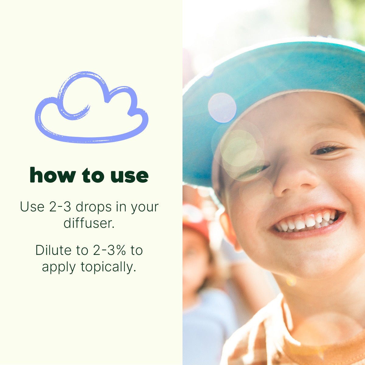 Happy Place Essential Oil Plant Therapy