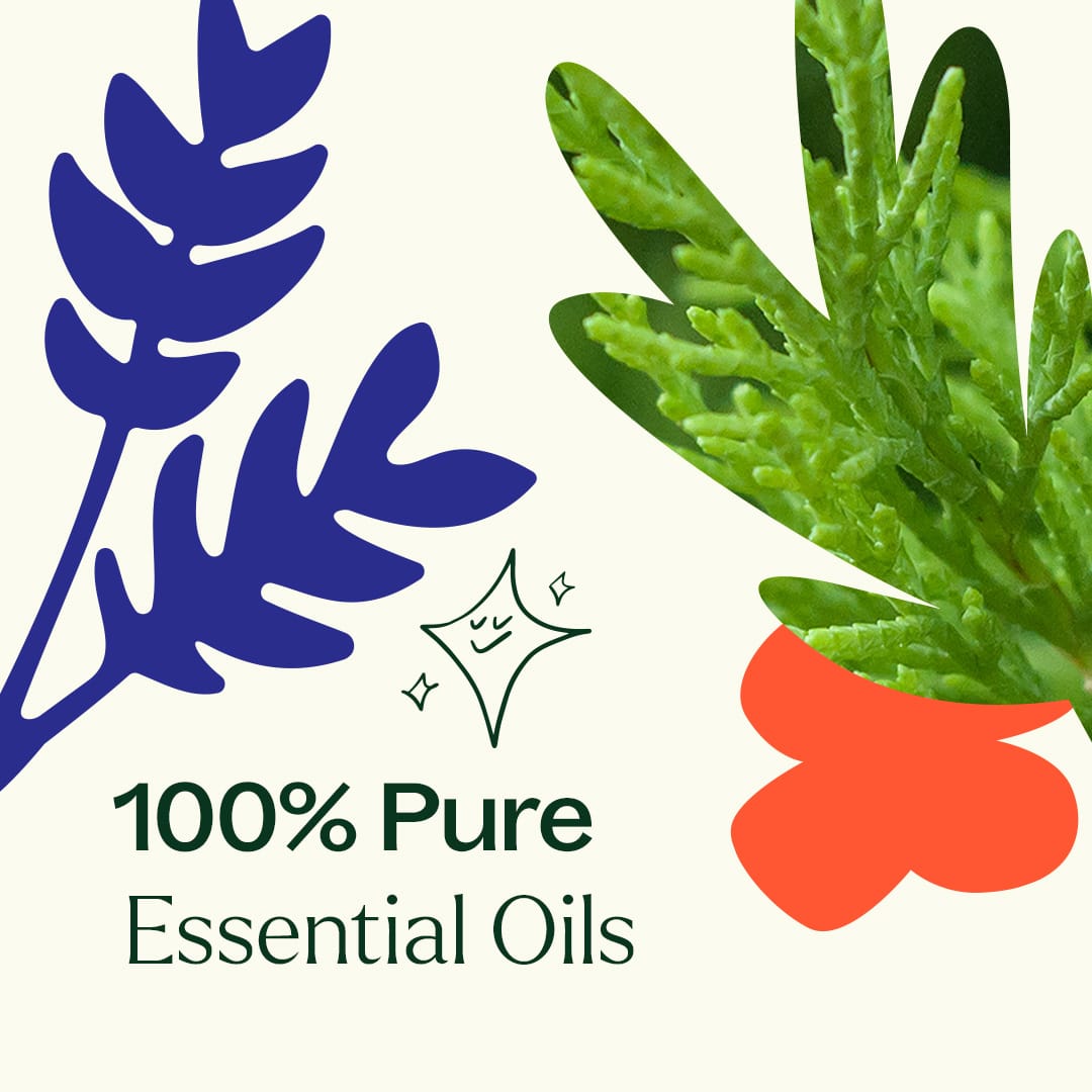 Heroes Essential Oil Blend Plant Therapy