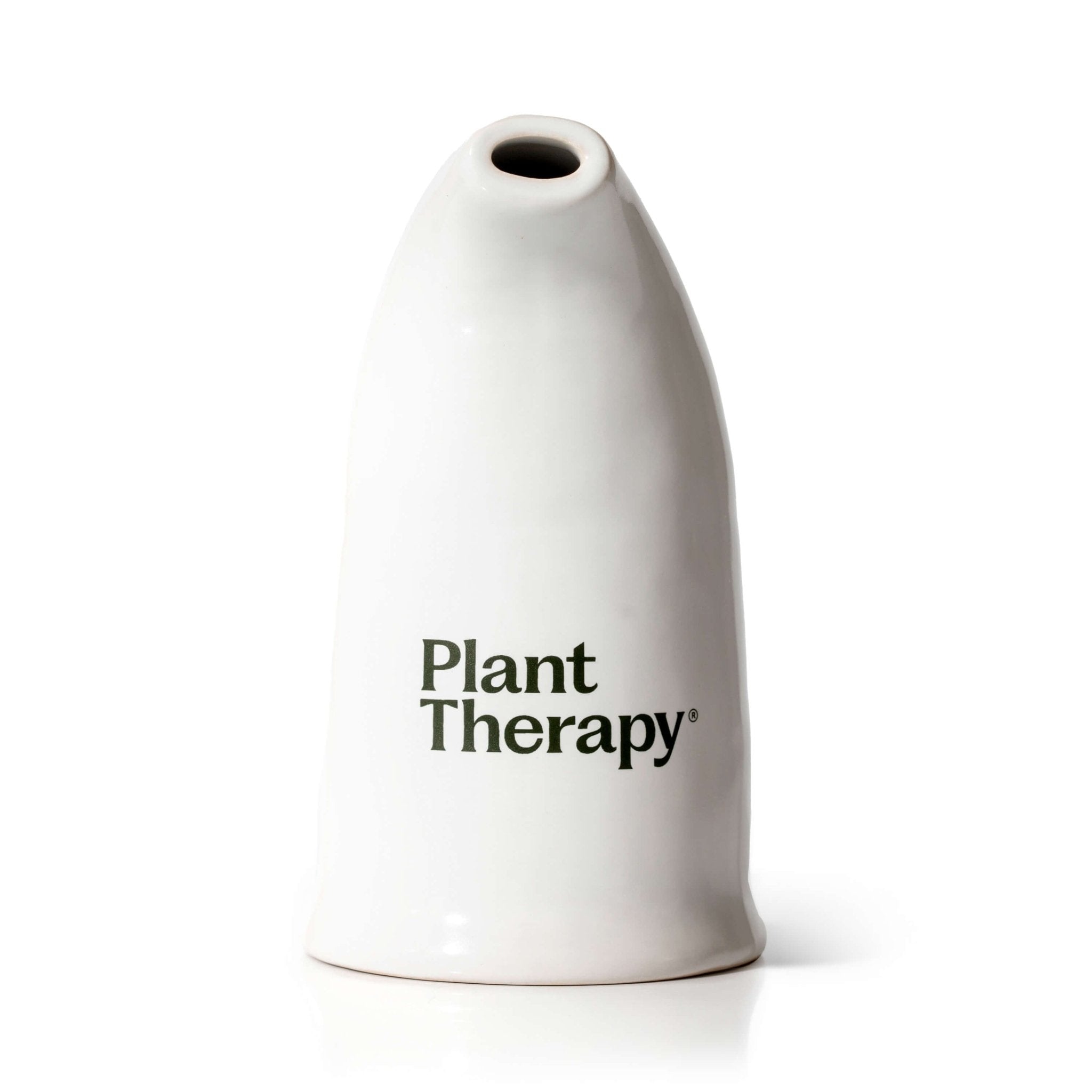 Himalayan Salt Inhaler Plant Therapy