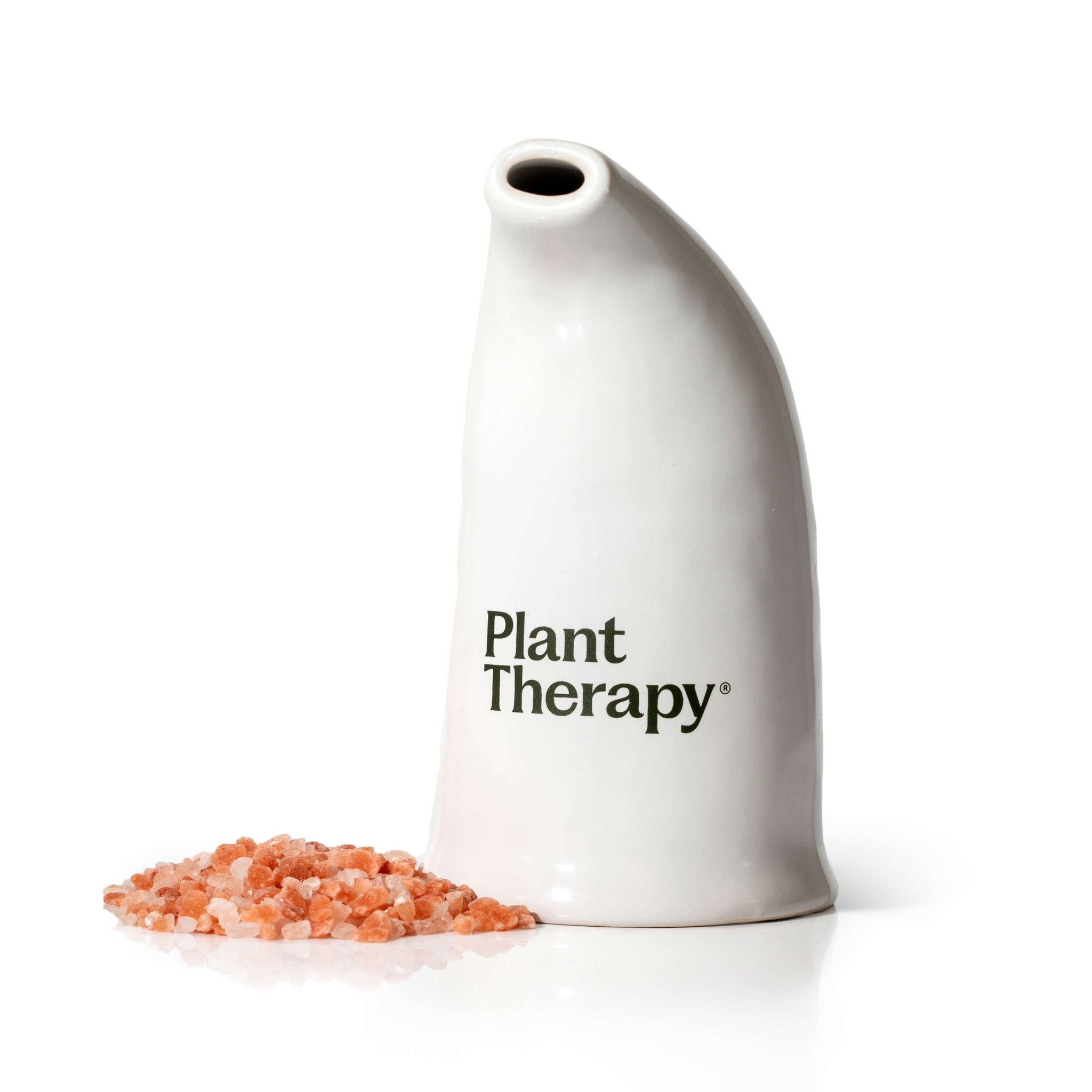 Himalayan Salt Inhaler Plant Therapy
