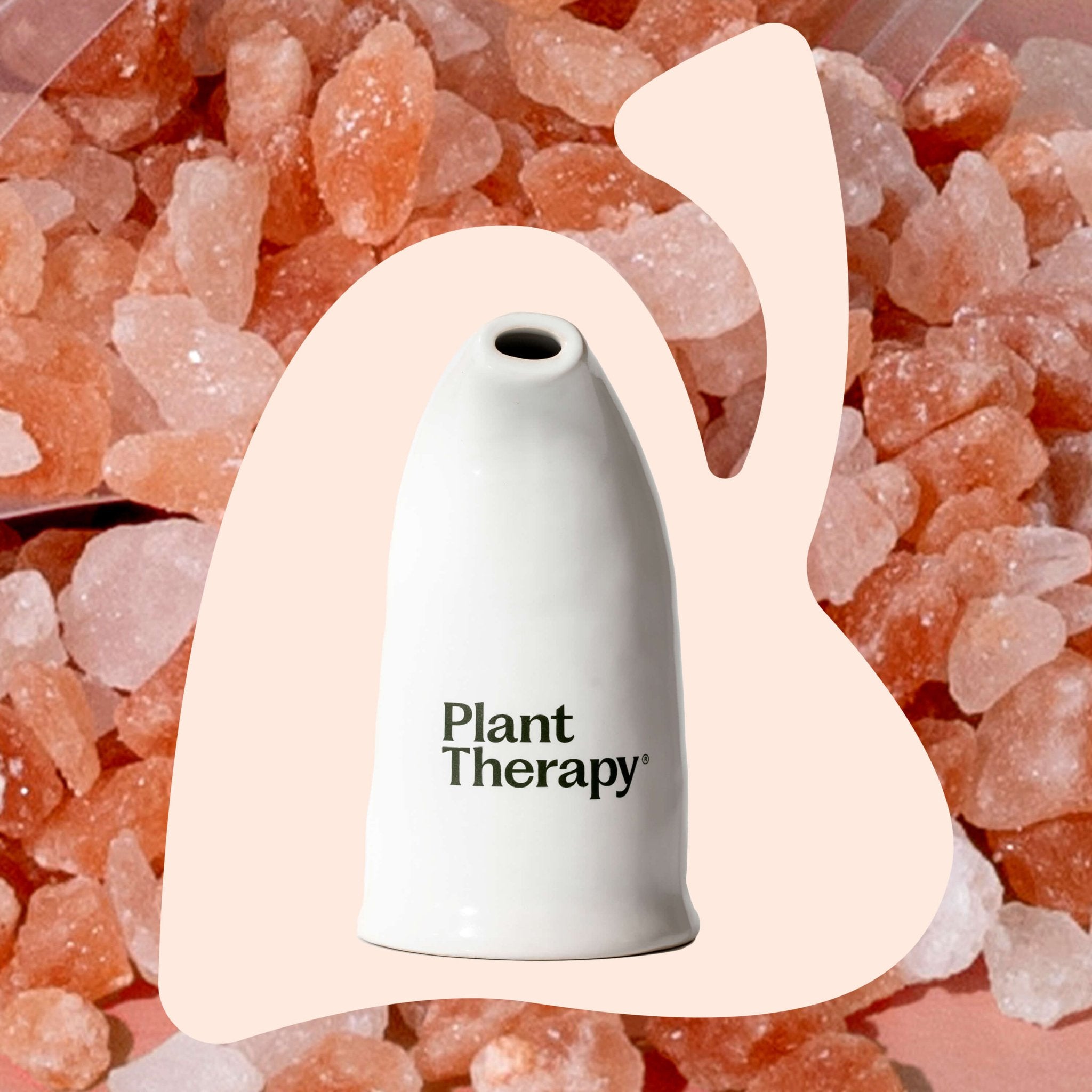 Himalayan Salt Inhaler Plant Therapy
