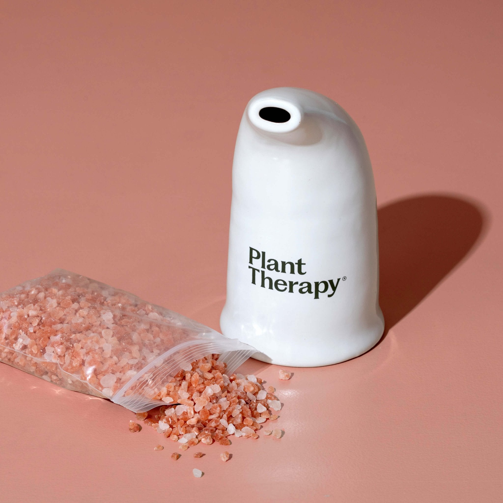 Himalayan Salt Inhaler Plant Therapy