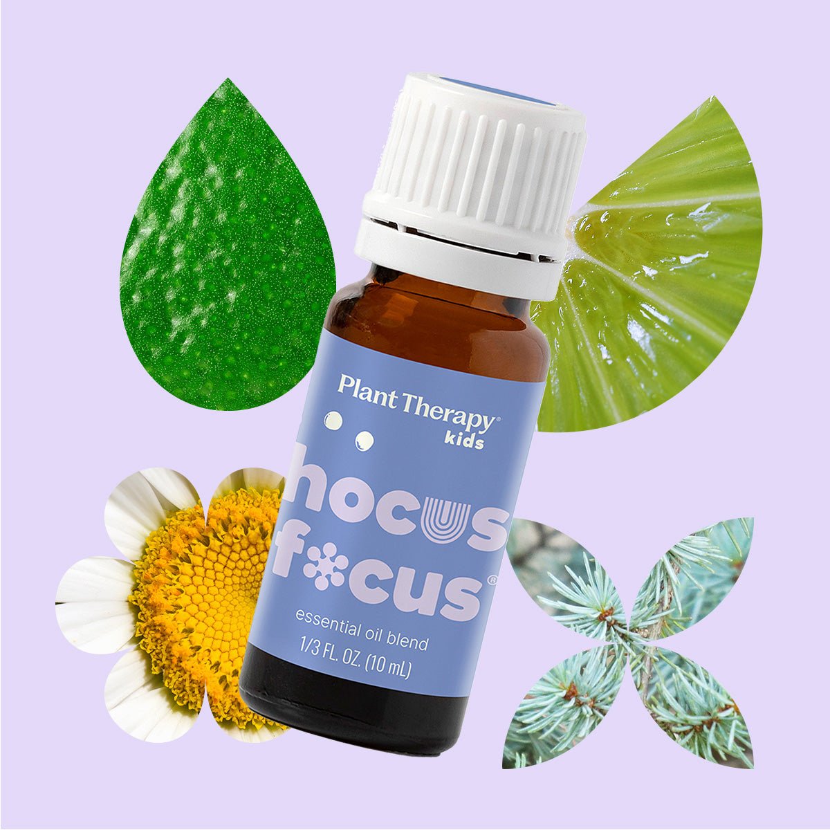 Hocus Focus Essential Oil Blend Plant Therapy