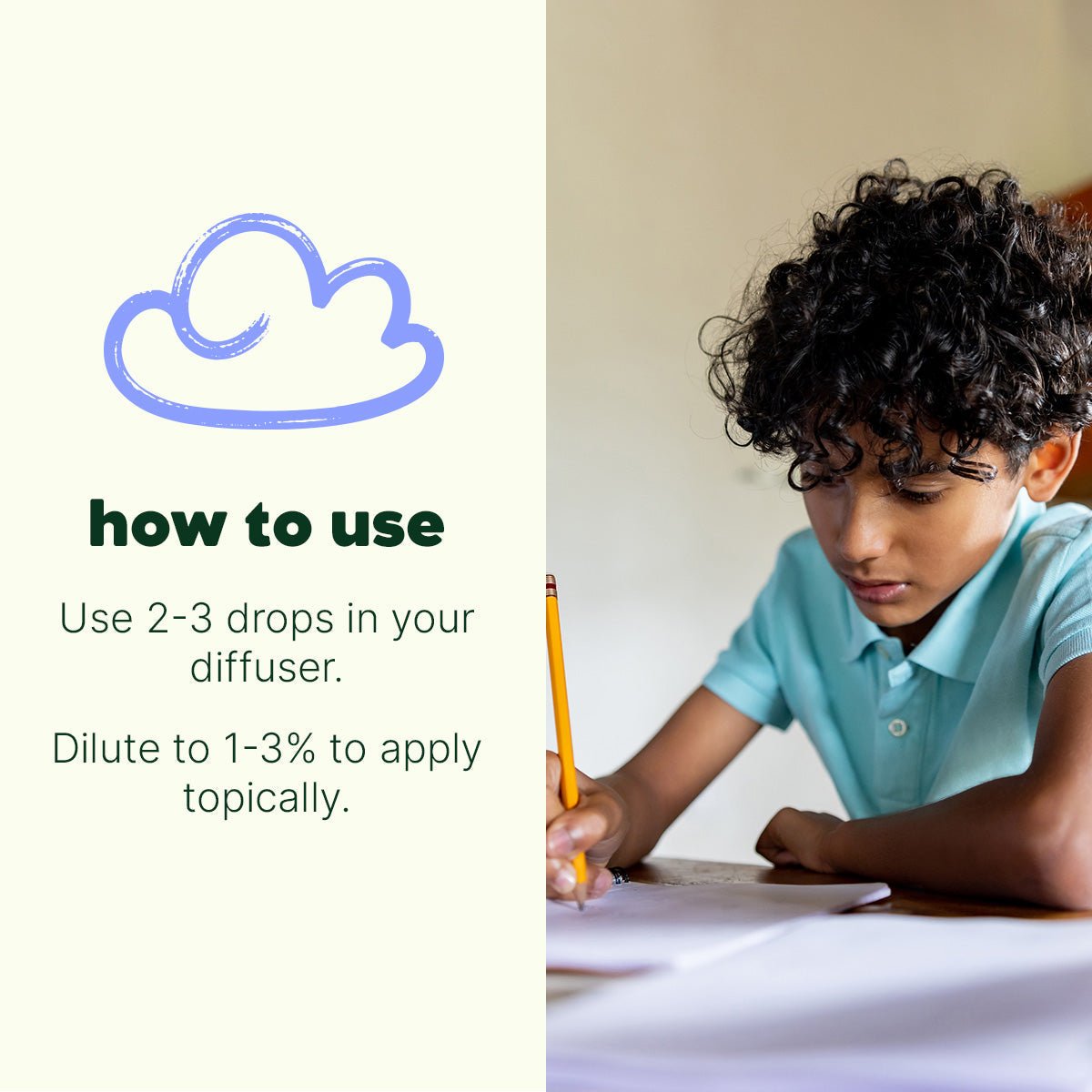 Hocus Focus Essential Oil Blend Plant Therapy