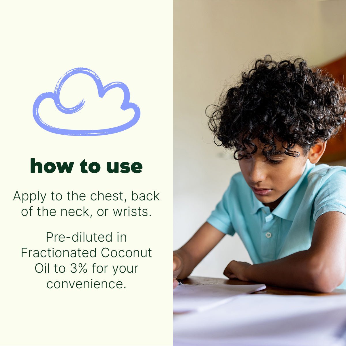 Hocus Focus Essential Oil Blend Pre - Diluted Roll - On Plant Therapy