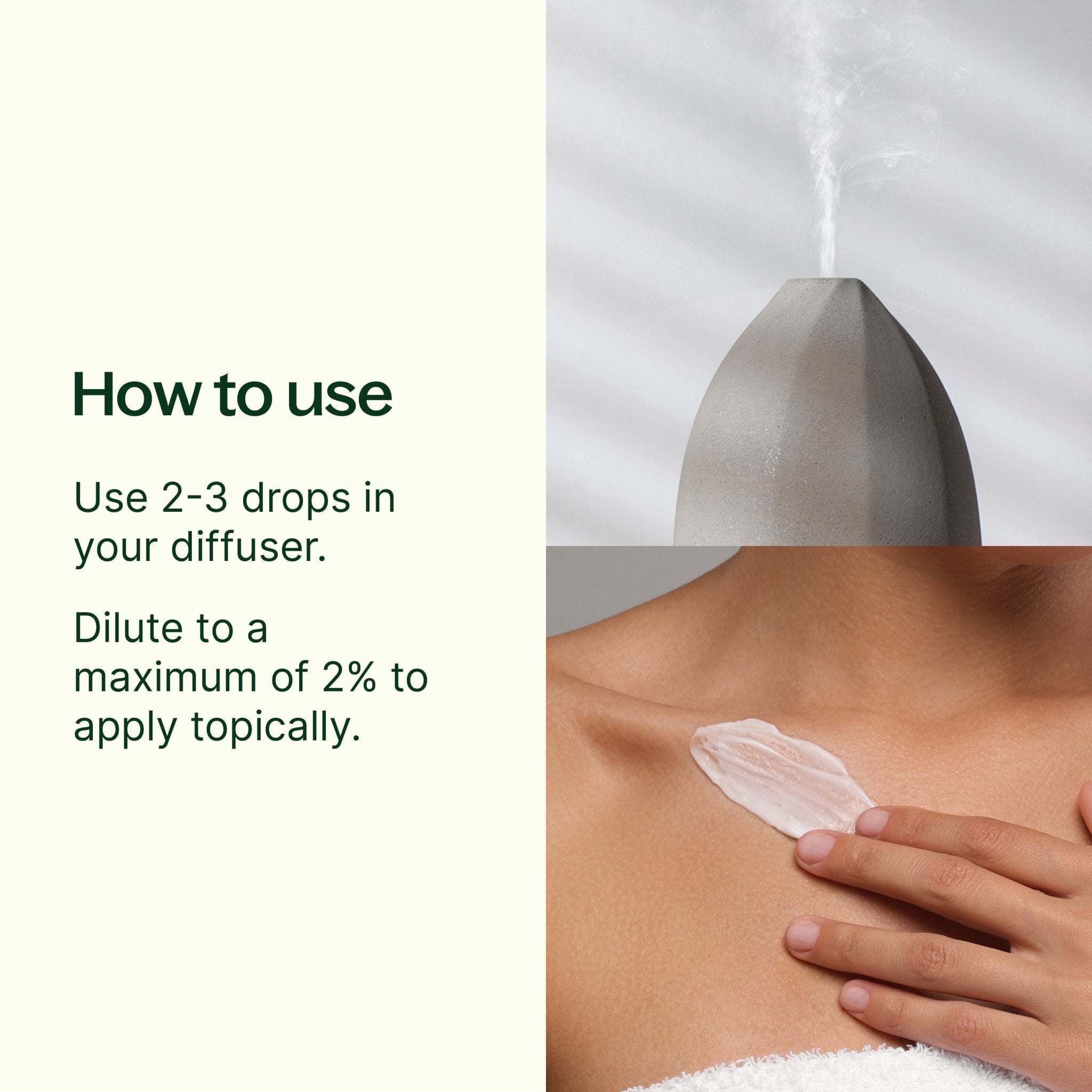 Holiday Season Essential Oil Blend Plant Therapy