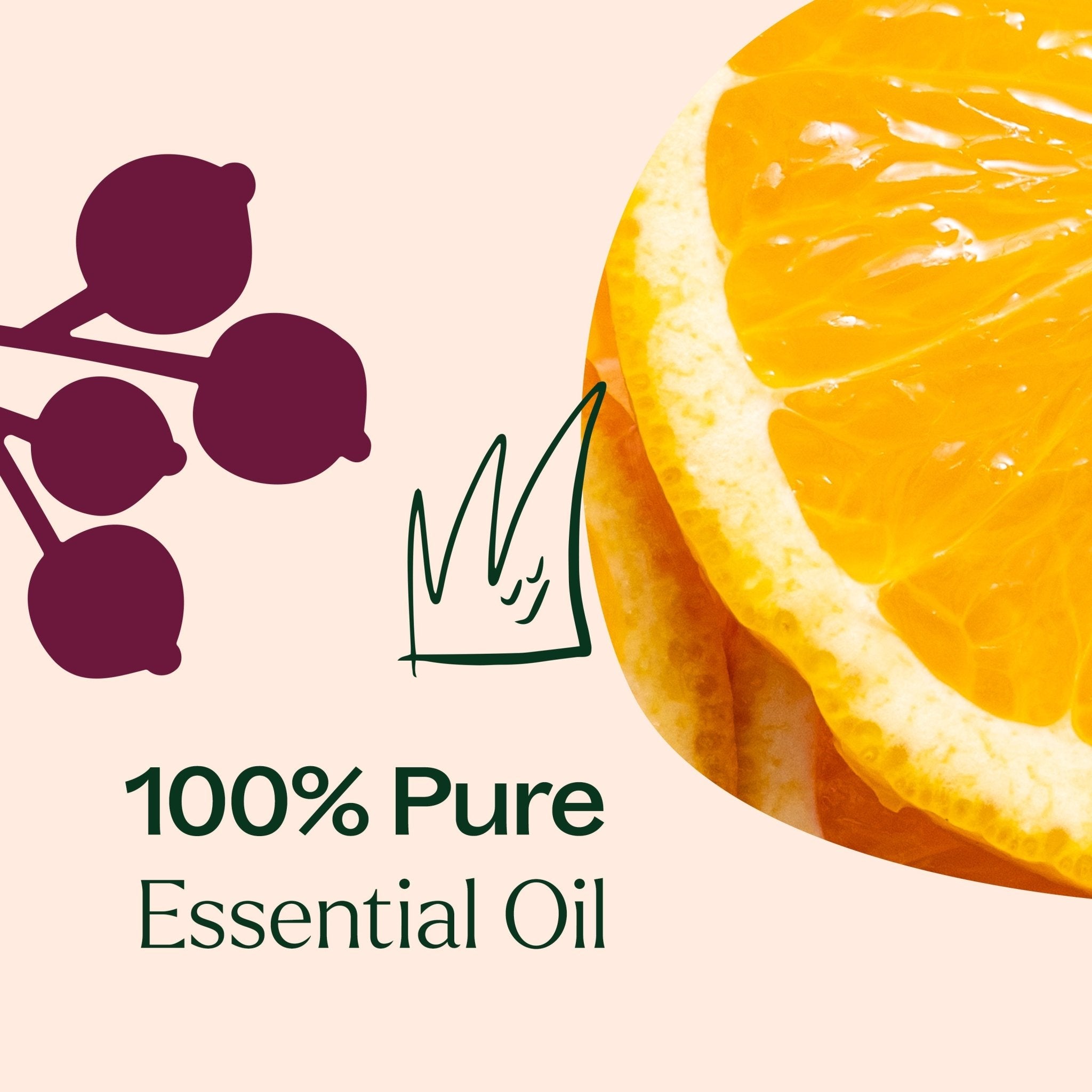 Holiday Season Essential Oil Blend Plant Therapy