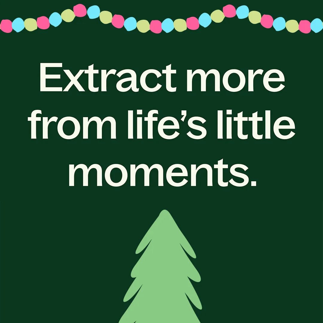 Holiday Season Essential Oil Blend Plant Therapy