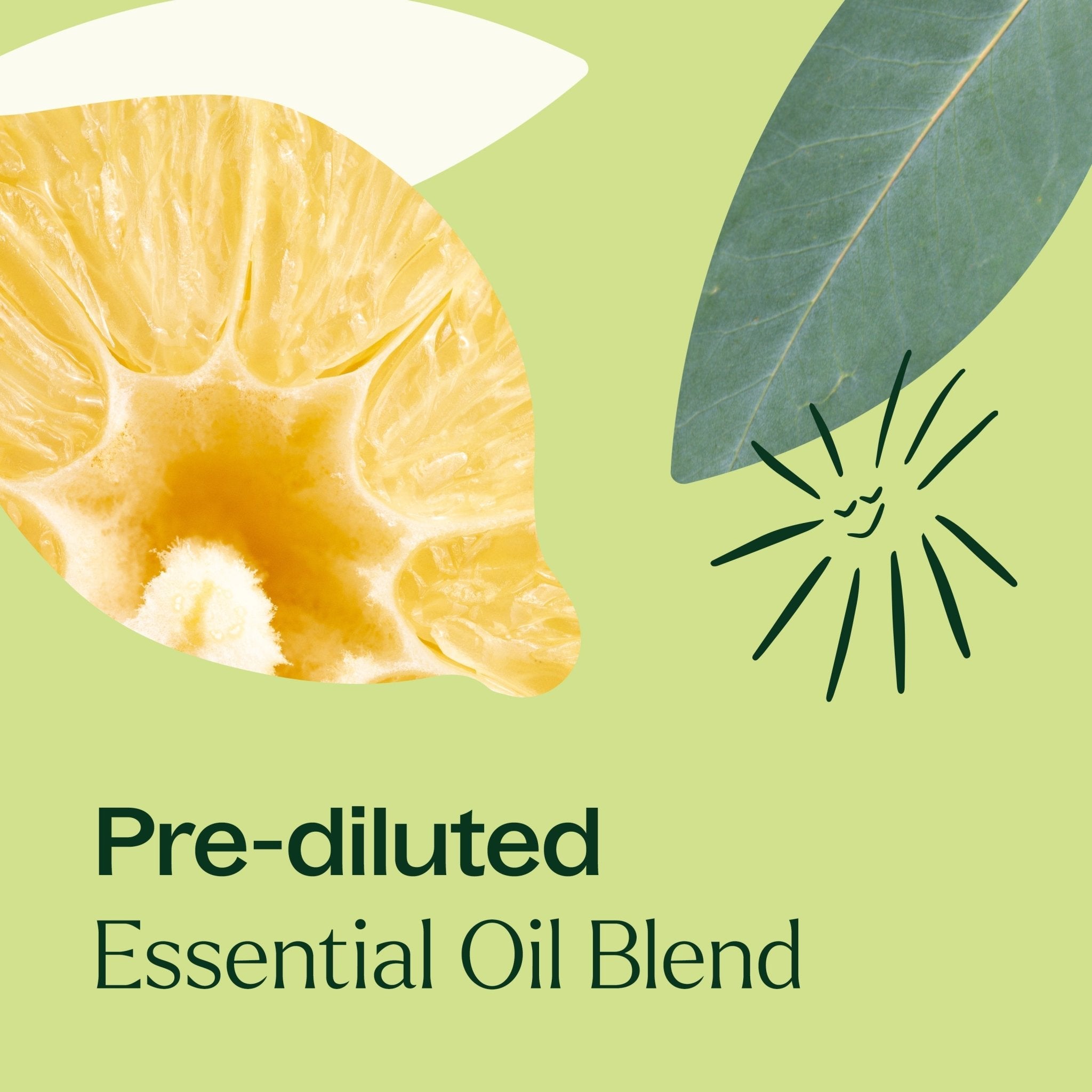 Immune Aid Essential Oil Blend Pre - Diluted Roll - On Plant Therapy