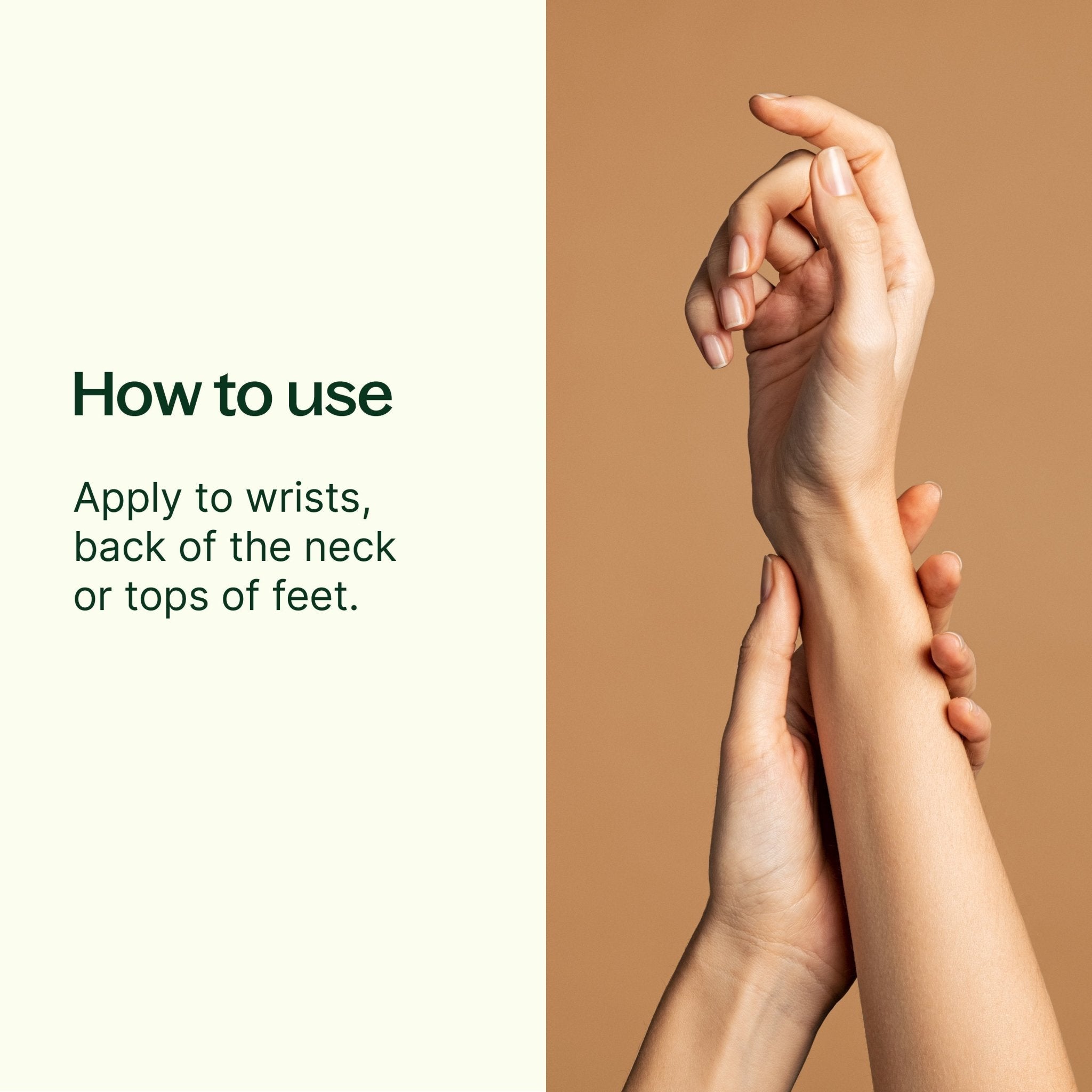 Immune Aid Essential Oil Blend Pre - Diluted Roll - On Plant Therapy