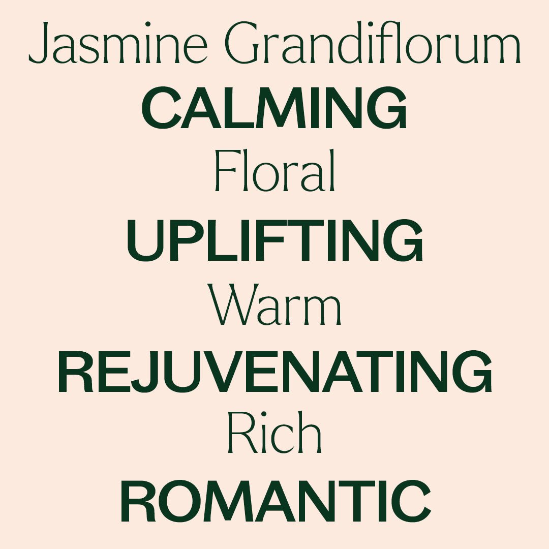 Jasmine Grandiflorum Absolute Plant Therapy