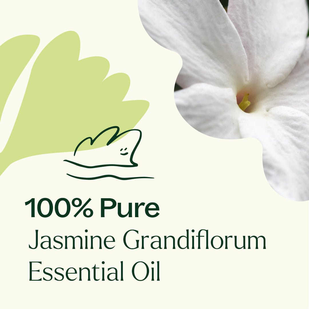 Jasmine Grandiflorum Absolute Plant Therapy