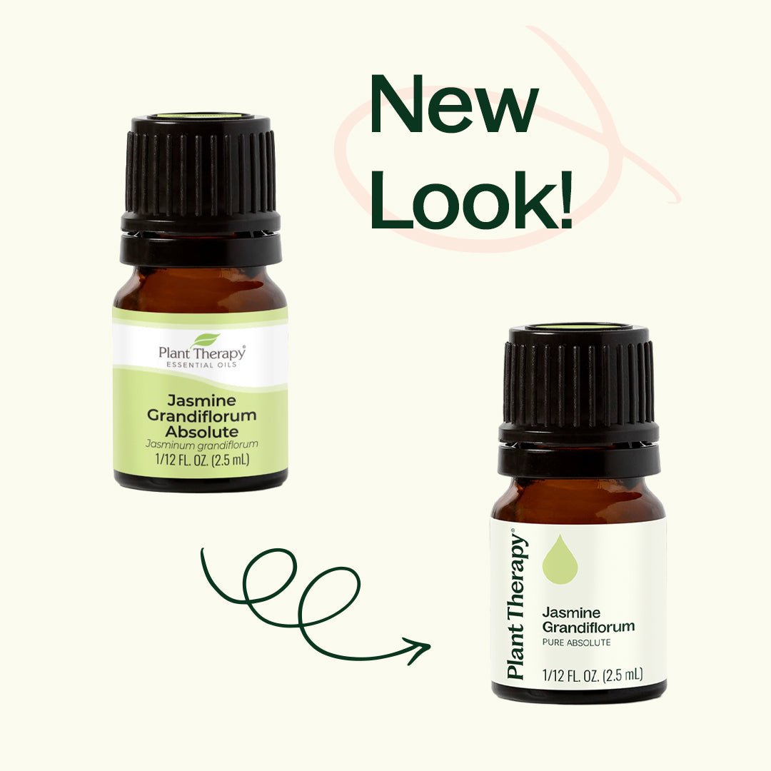 Jasmine Grandiflorum Absolute Plant Therapy