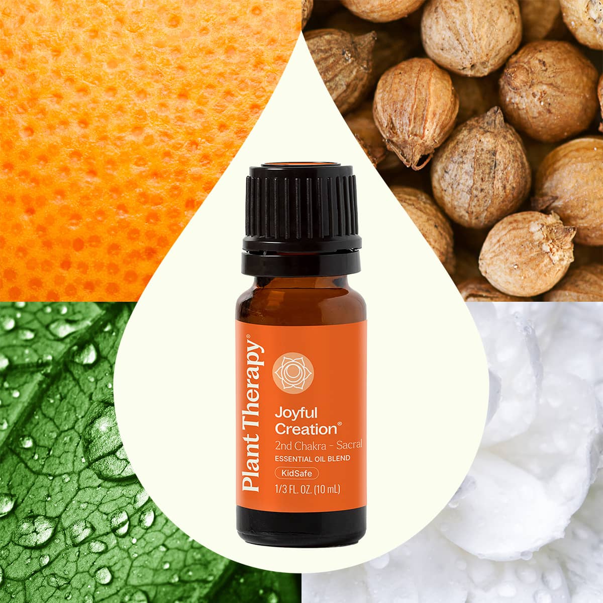 Joyful Creation (Sacral Chakra) Essential Oil Plant Therapy