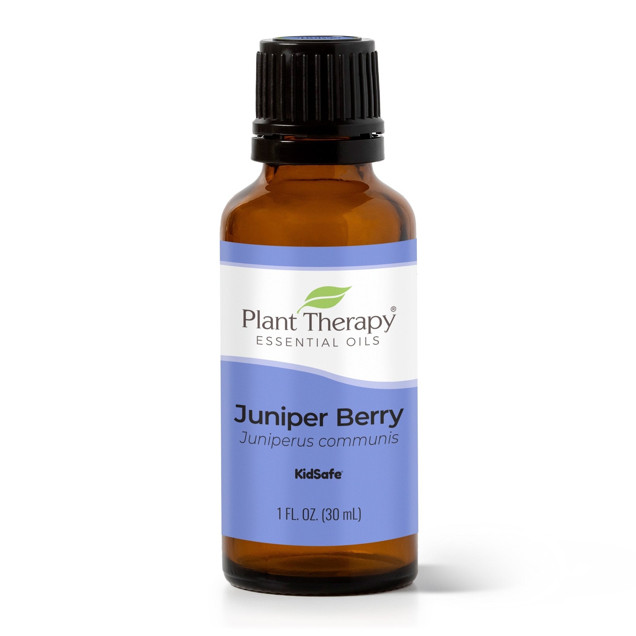 Juniper Berry Essential Oil Plant Therapy