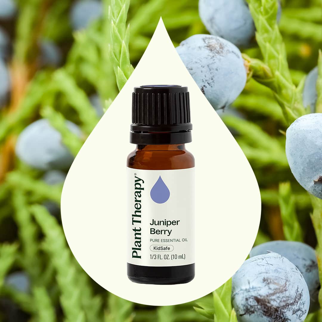 Juniper Berry Essential Oil Plant Therapy