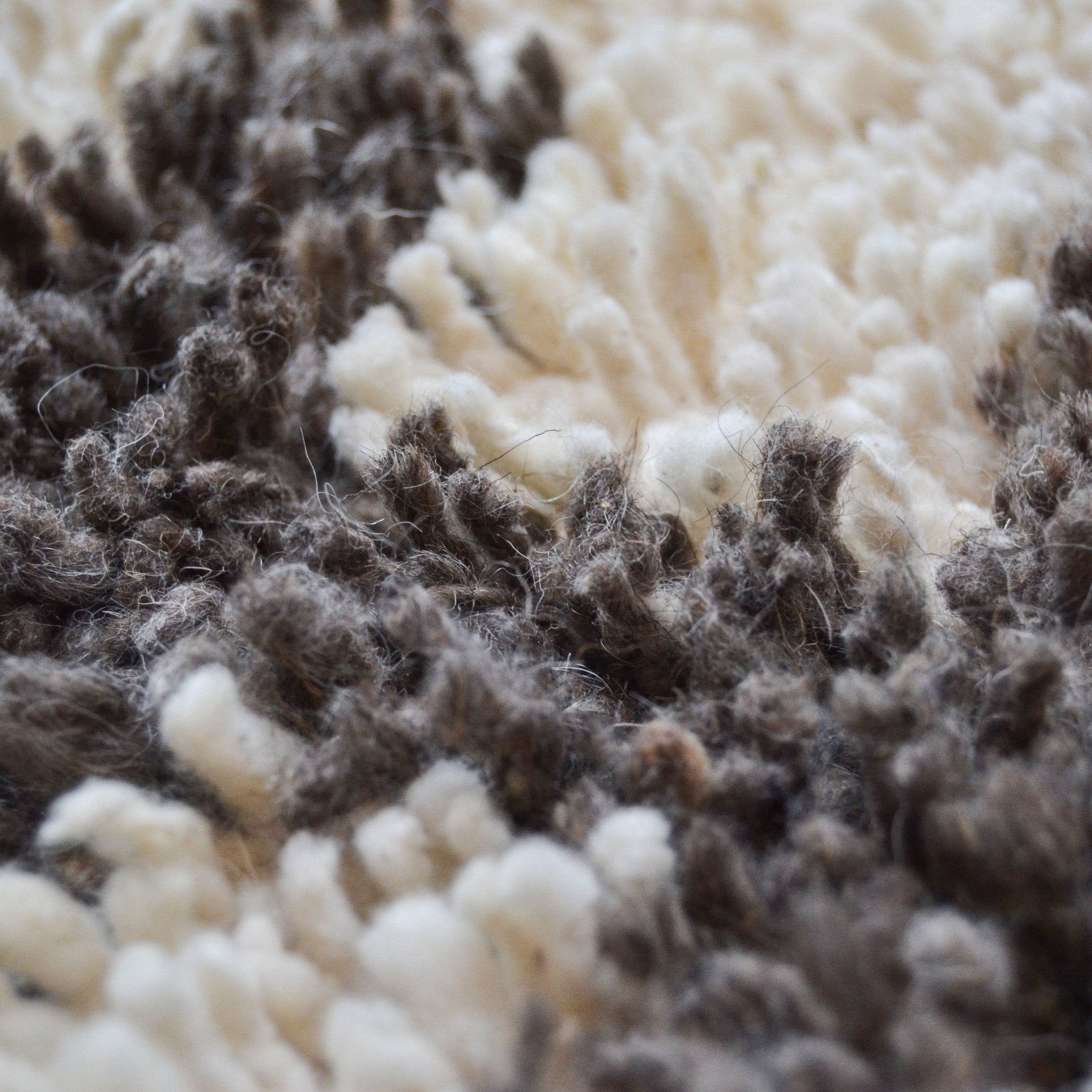 Kanba Wool Rug by Diego Olivero Studio MESO