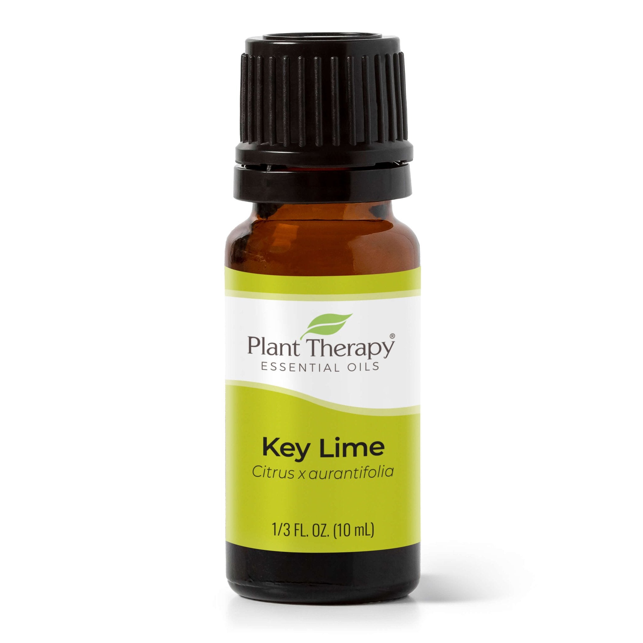 Key Lime Essential Oil Plant Therapy