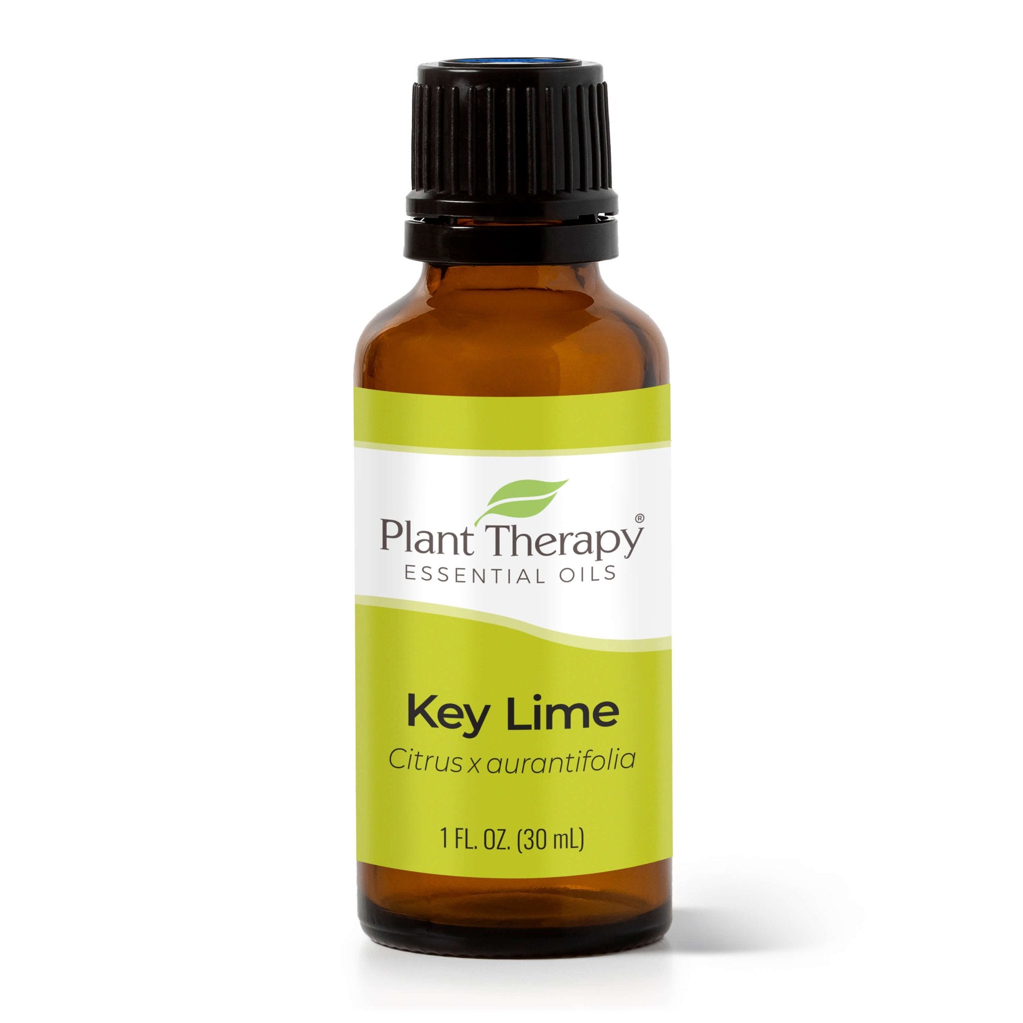 Key Lime Essential Oil Plant Therapy