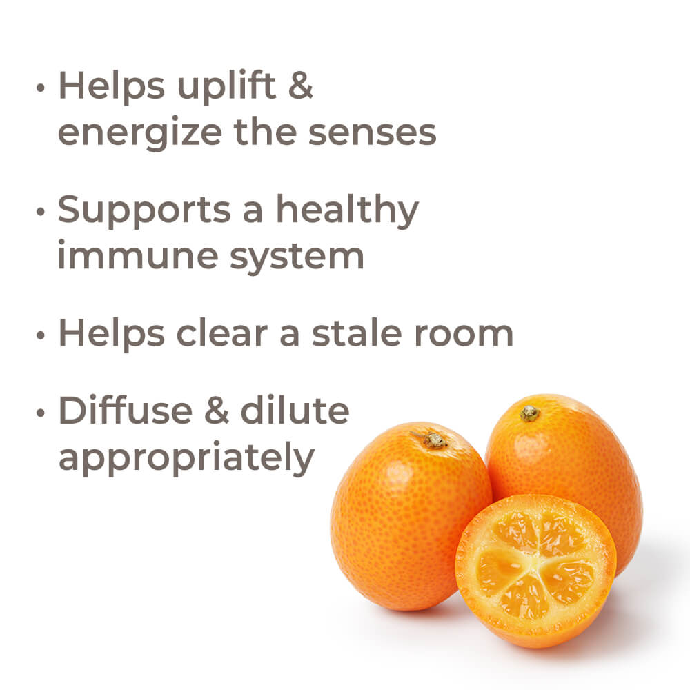 Kumquat Essential Oil Plant Therapy