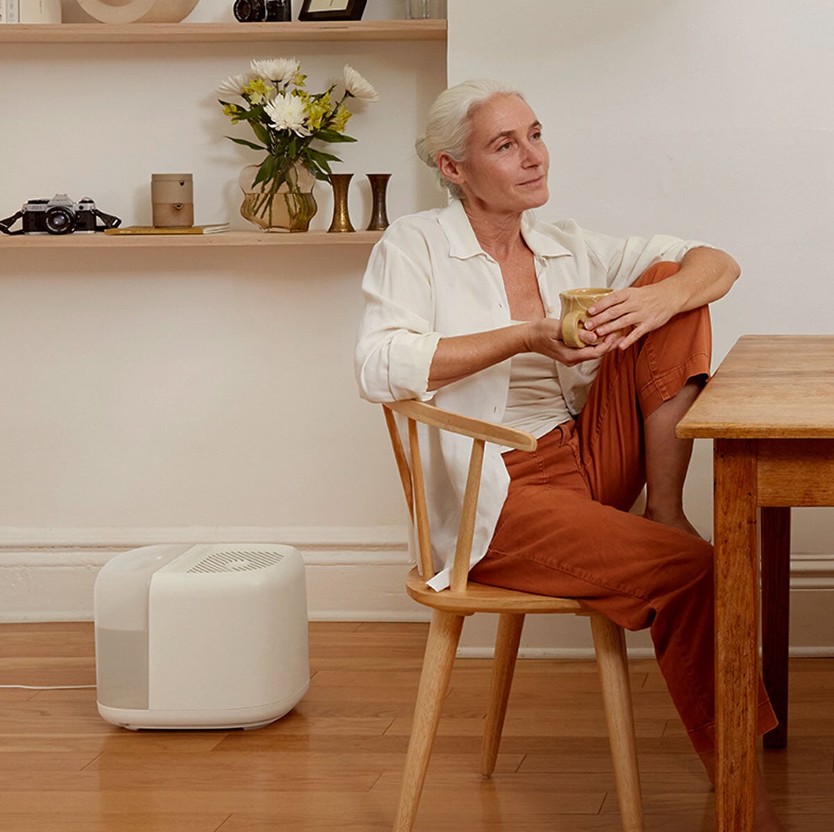 Large Room Humidifier Canopy