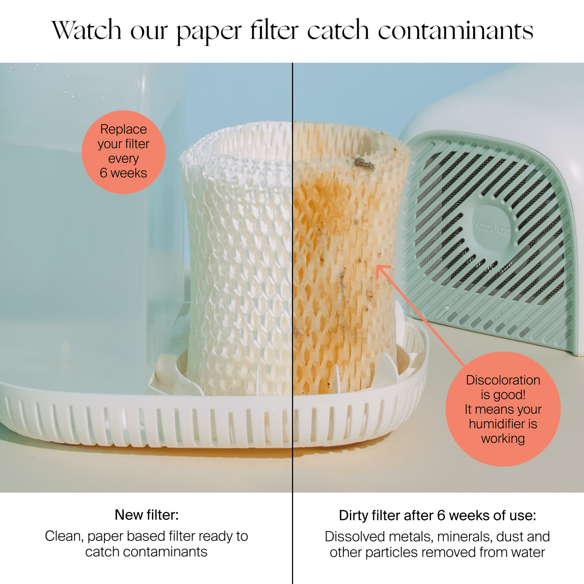 Large Room Humidifier Canopy