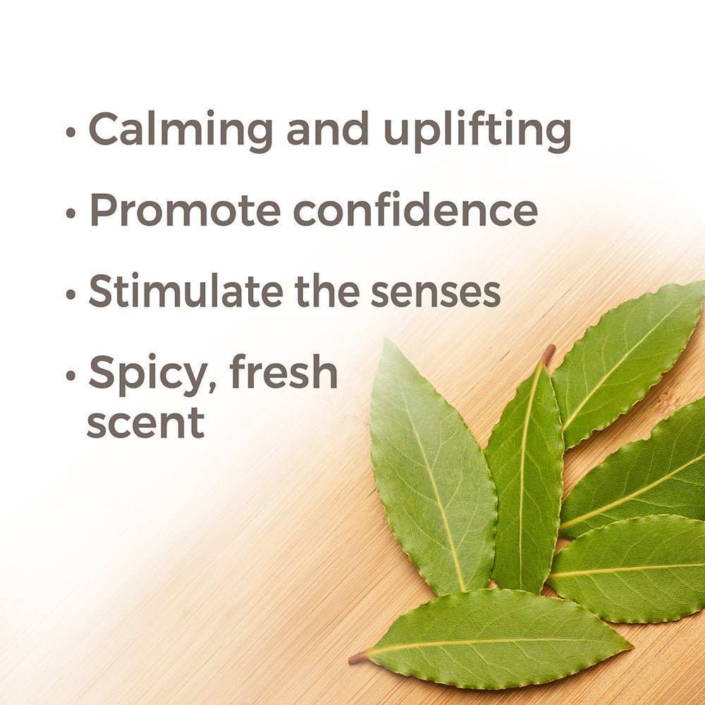 Laurel Leaf Essential Oil Plant Therapy