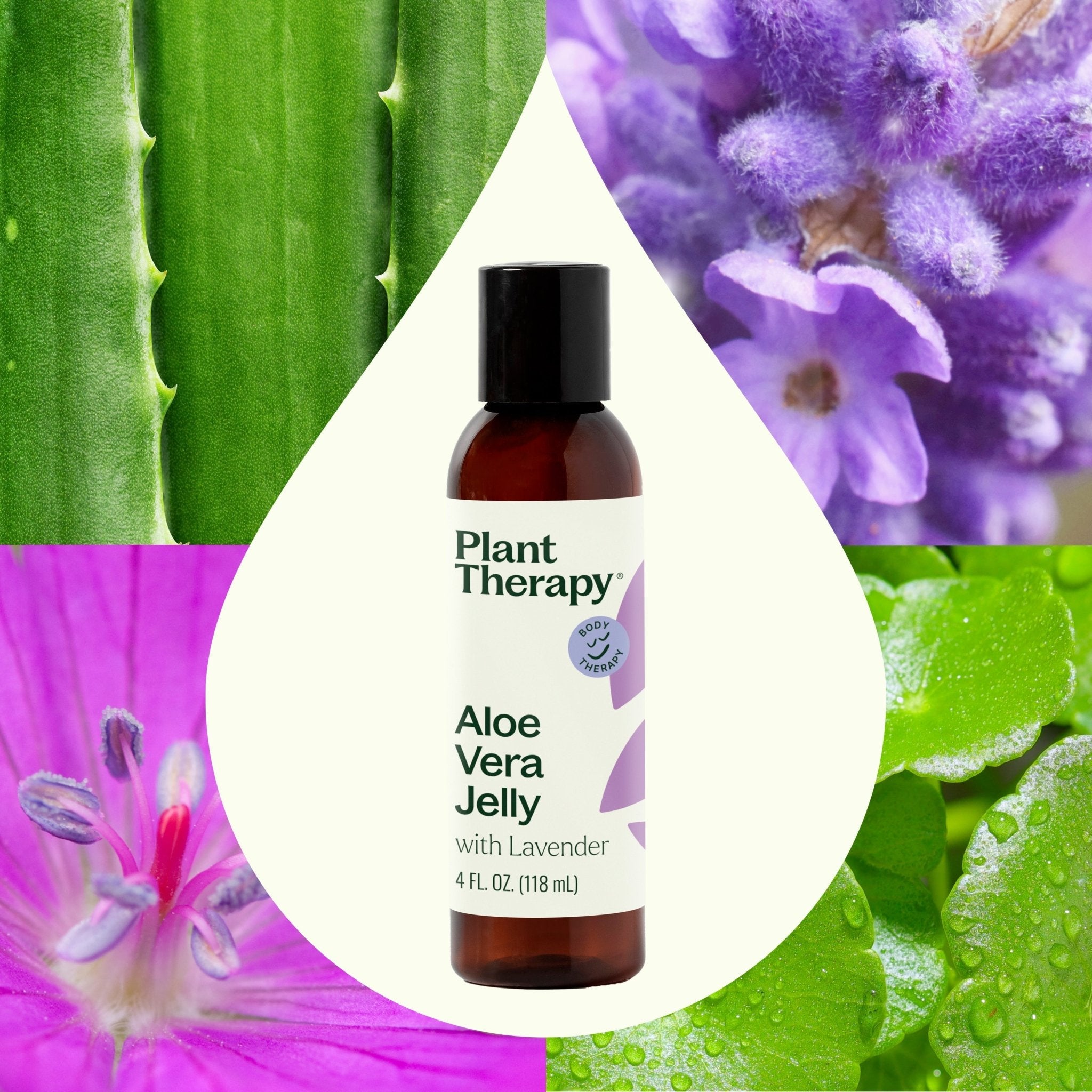 Lavender Aloe Vera Jelly Plant Therapy