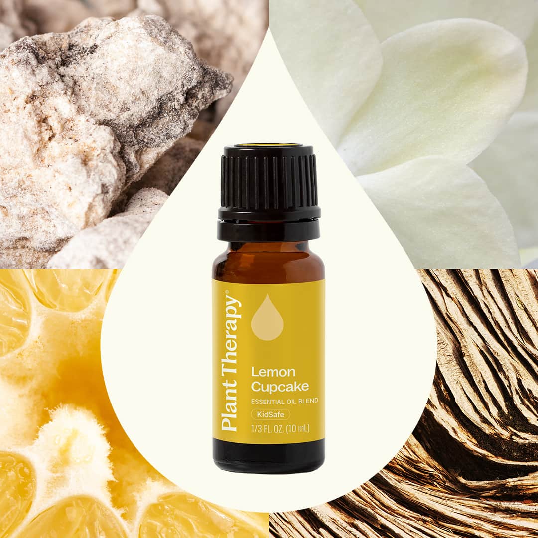 Lemon Cupcake Essential Oil Blend Plant Therapy