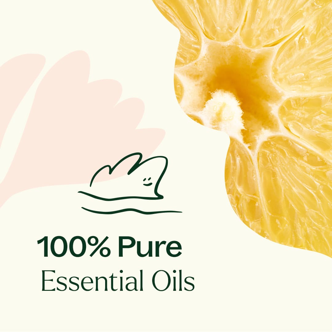 Lemon Cupcake Essential Oil Blend Plant Therapy