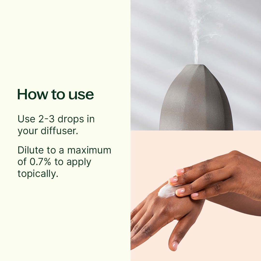 Lemon Myrtle Essential Oil Plant Therapy