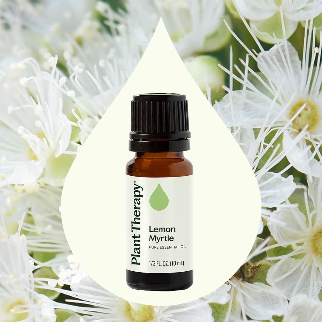 Lemon Myrtle Essential Oil Plant Therapy