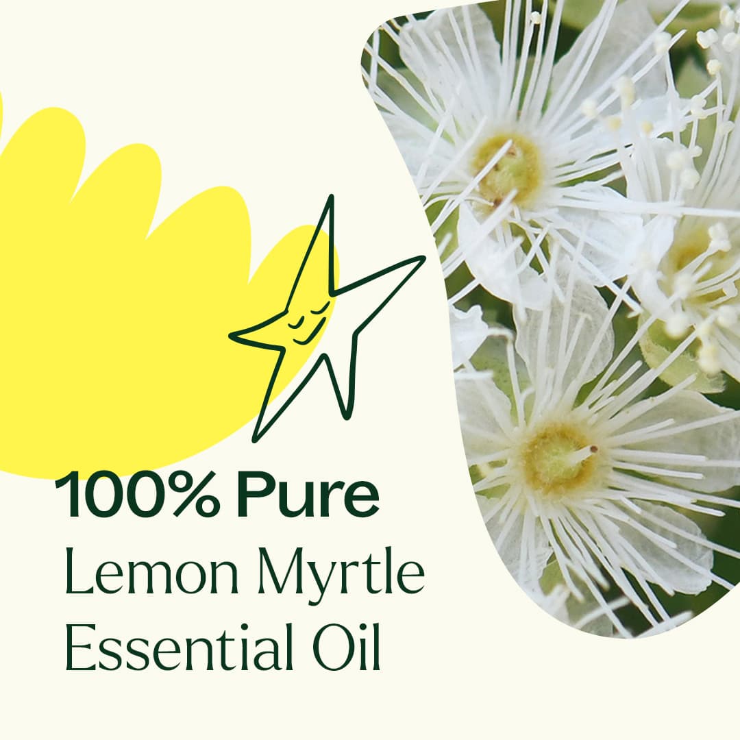 Lemon Myrtle Essential Oil Plant Therapy