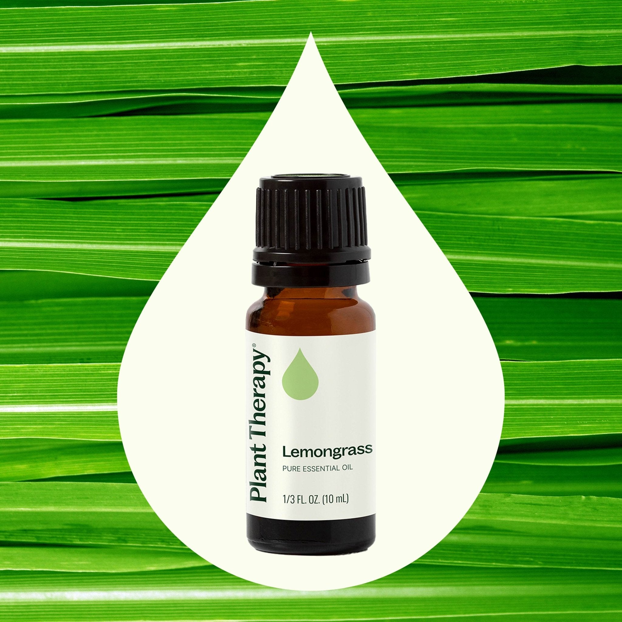 Lemongrass Essential Oil Plant Therapy