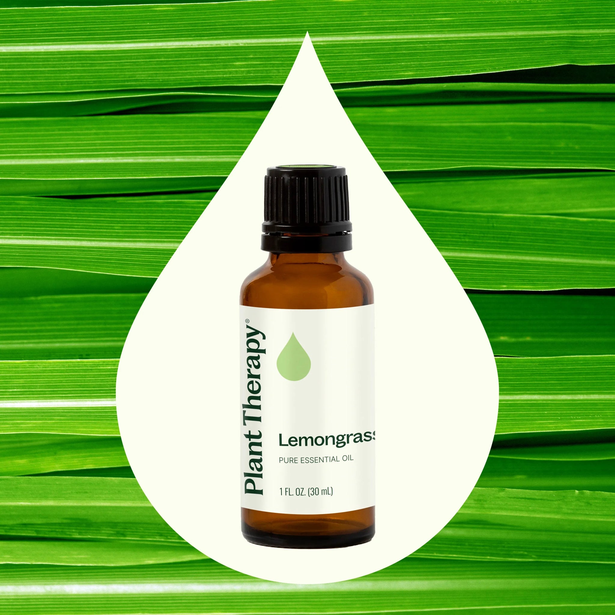 Lemongrass Essential Oil Plant Therapy