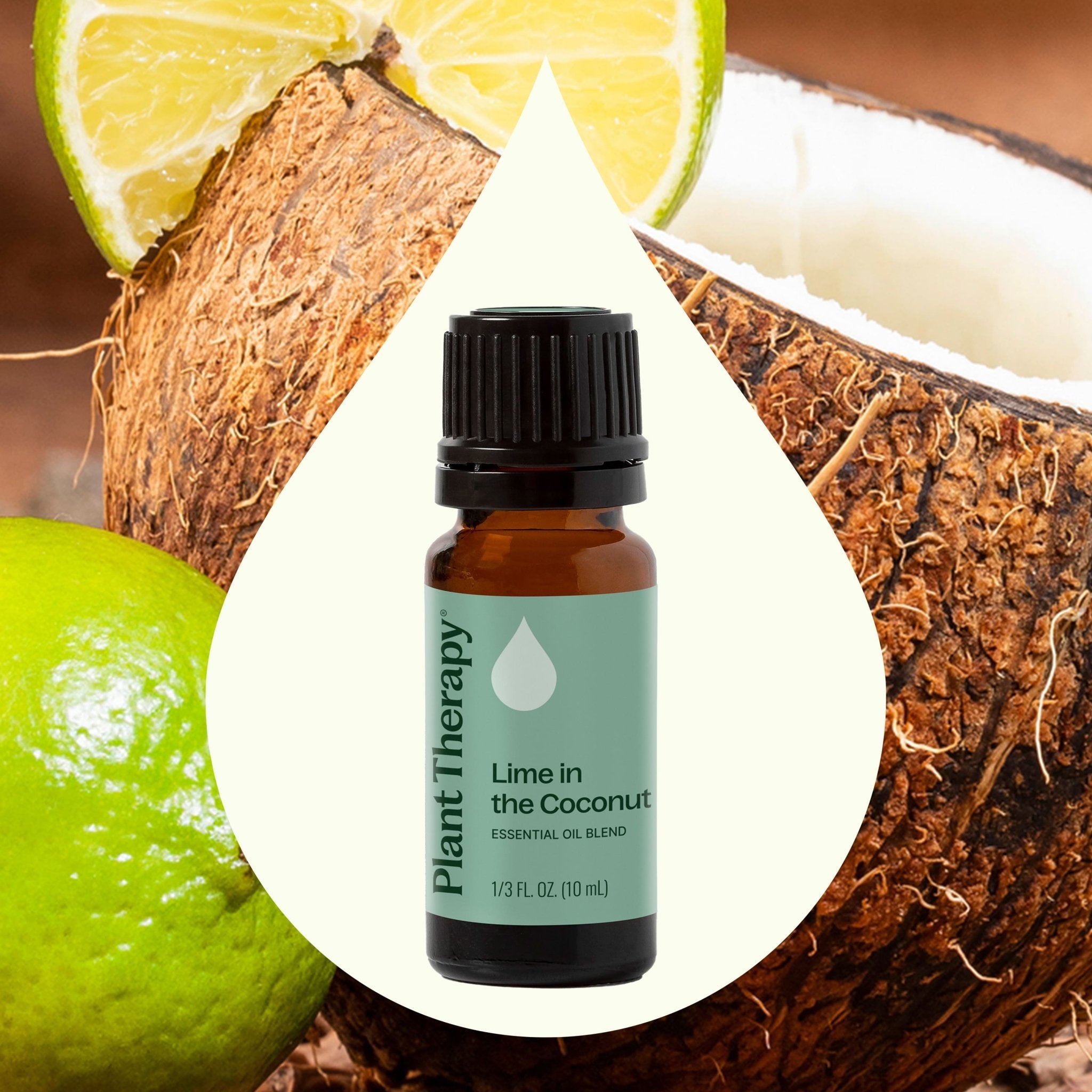 Lime in the Coconut Essential Oil Blend Plant Therapy
