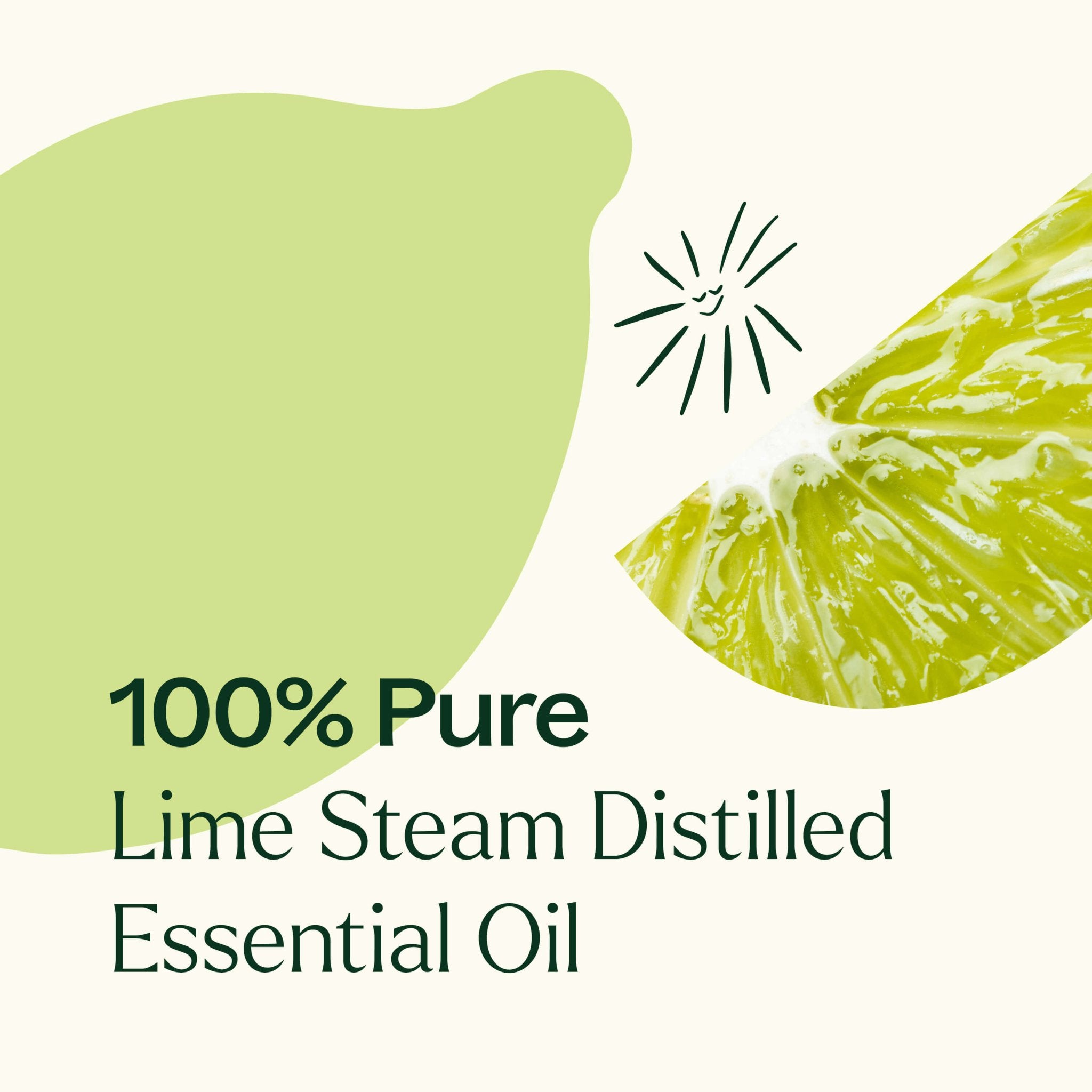 Lime Steam Distilled Essential Oil Plant Therapy