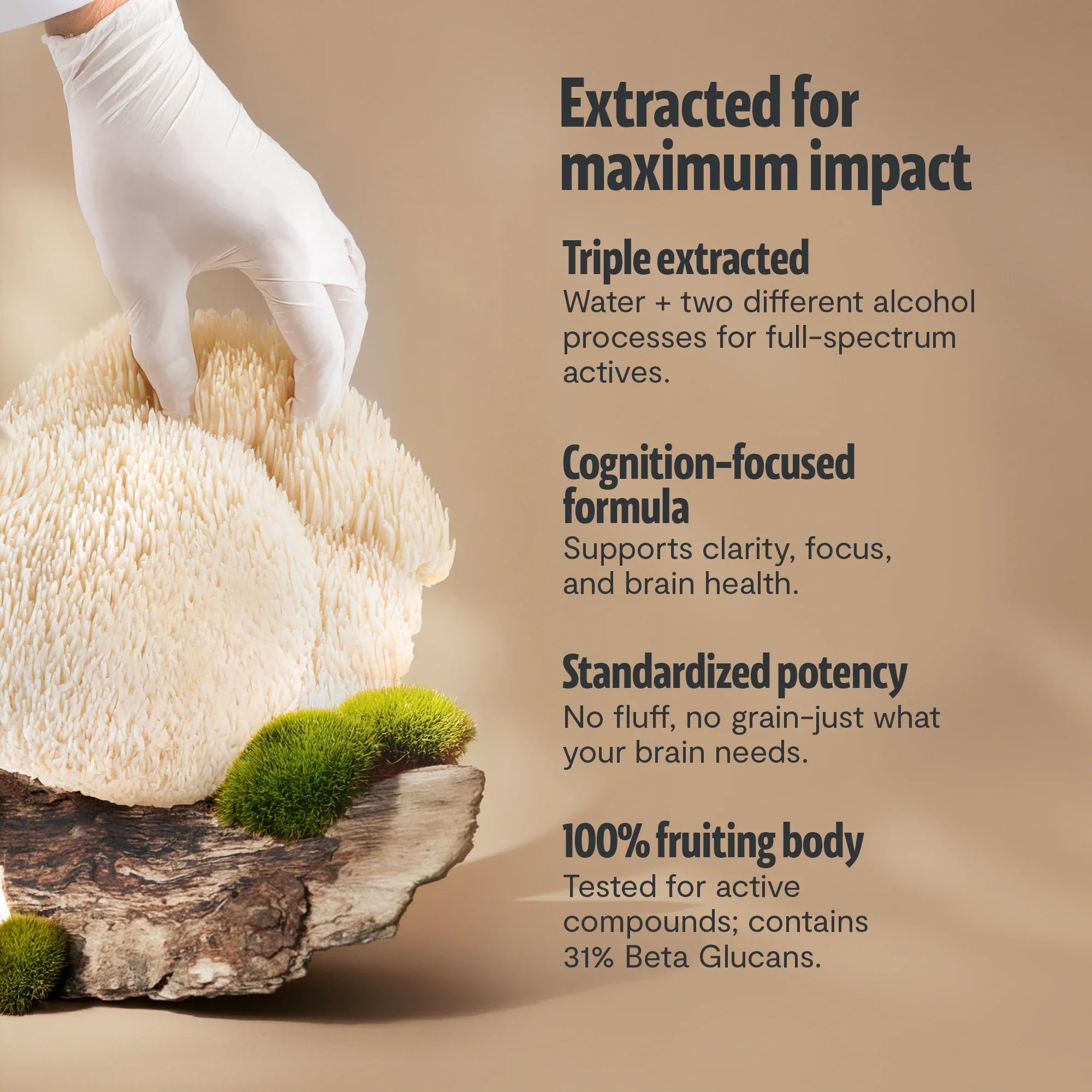 Lion's Mane Mushroom Extract Powder FreshCap Mushrooms