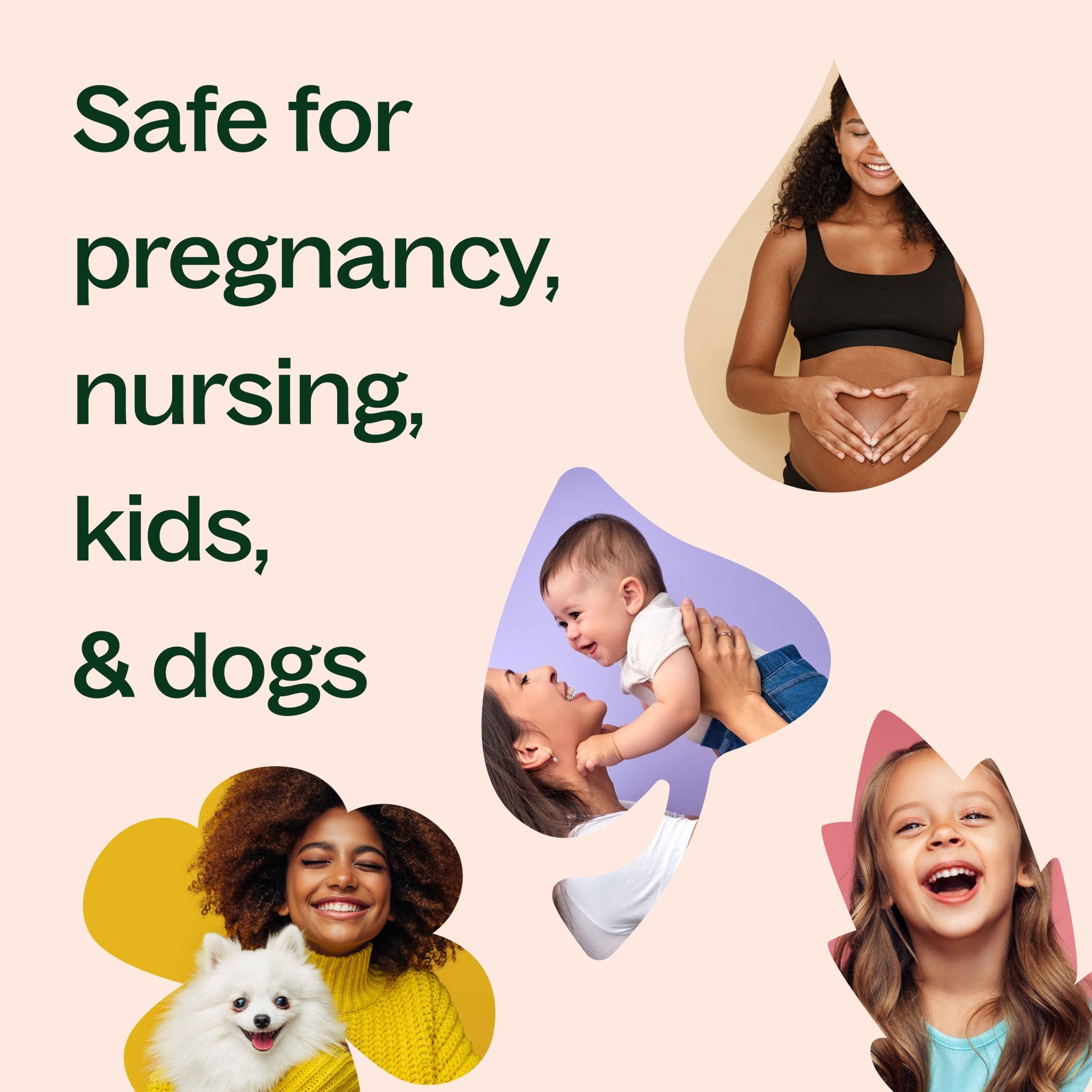 Manuka Essential Oil Plant Therapy