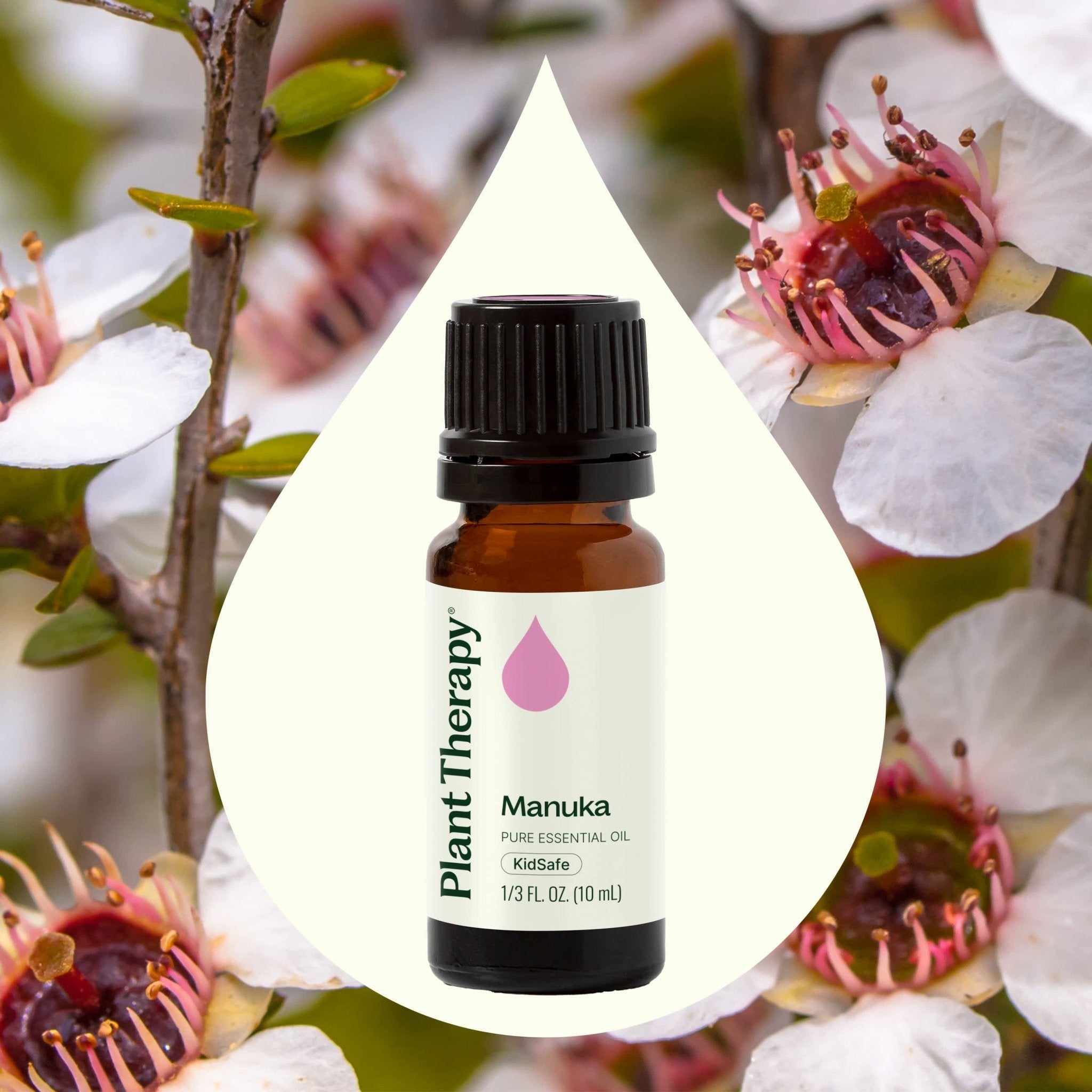 Manuka Essential Oil Plant Therapy