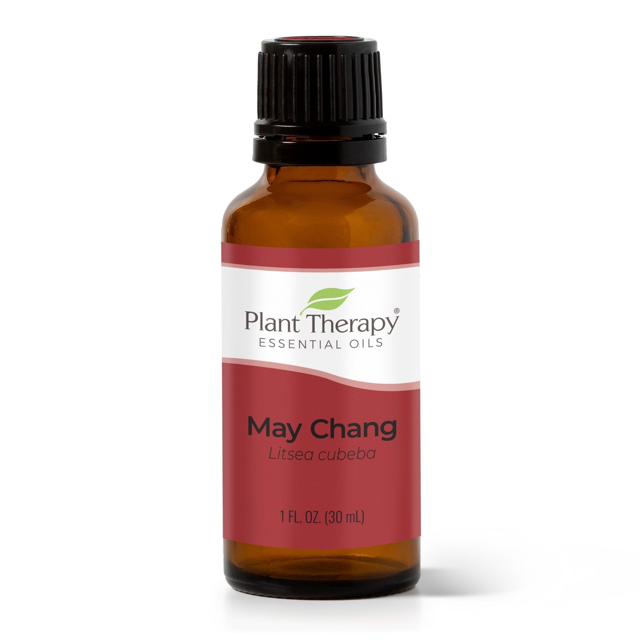 May Chang Essential Oil Plant Therapy